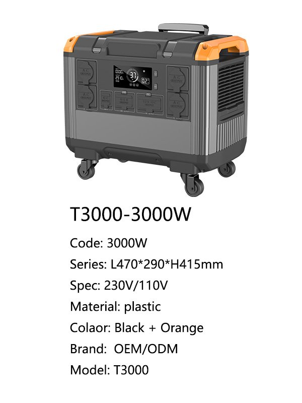 t30