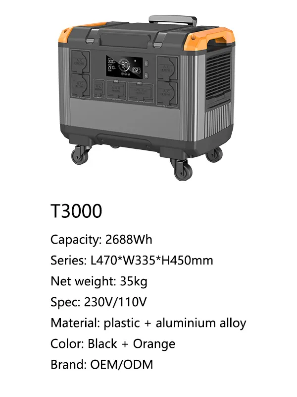 t30